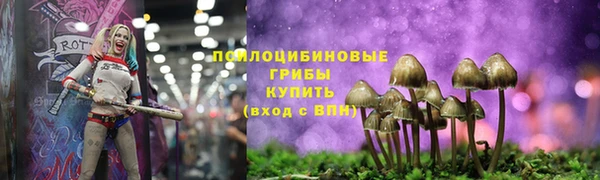 гидра Зеленокумск