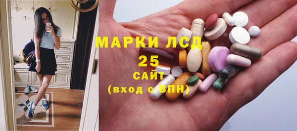 гидра Зеленокумск