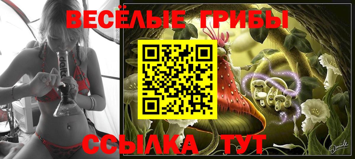 Галлюциногенные грибы мицелий  Вход с VPN  хочу   Соль-Илецк 